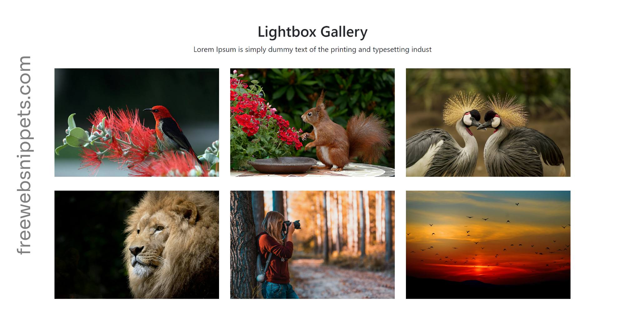 Free Responsive Image Gallery Template | Lightbox Image Gallery Snippet